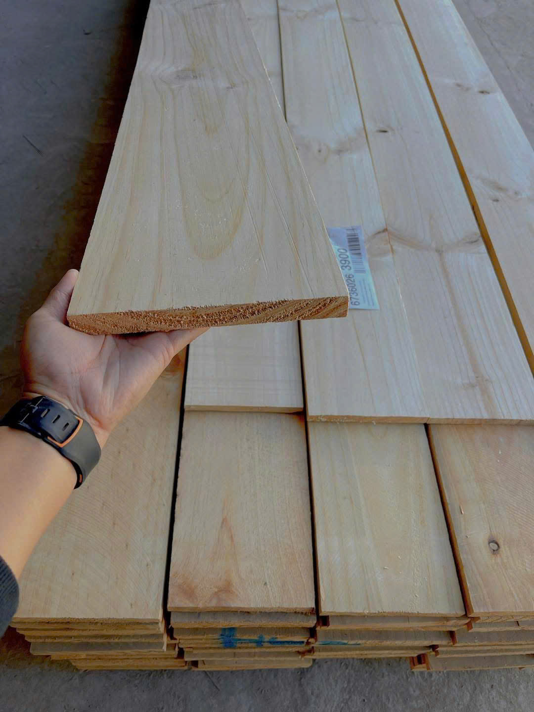 Gỗ Thông New Zealand - 2.2 x 20 x 390 CM - Ảnh 2