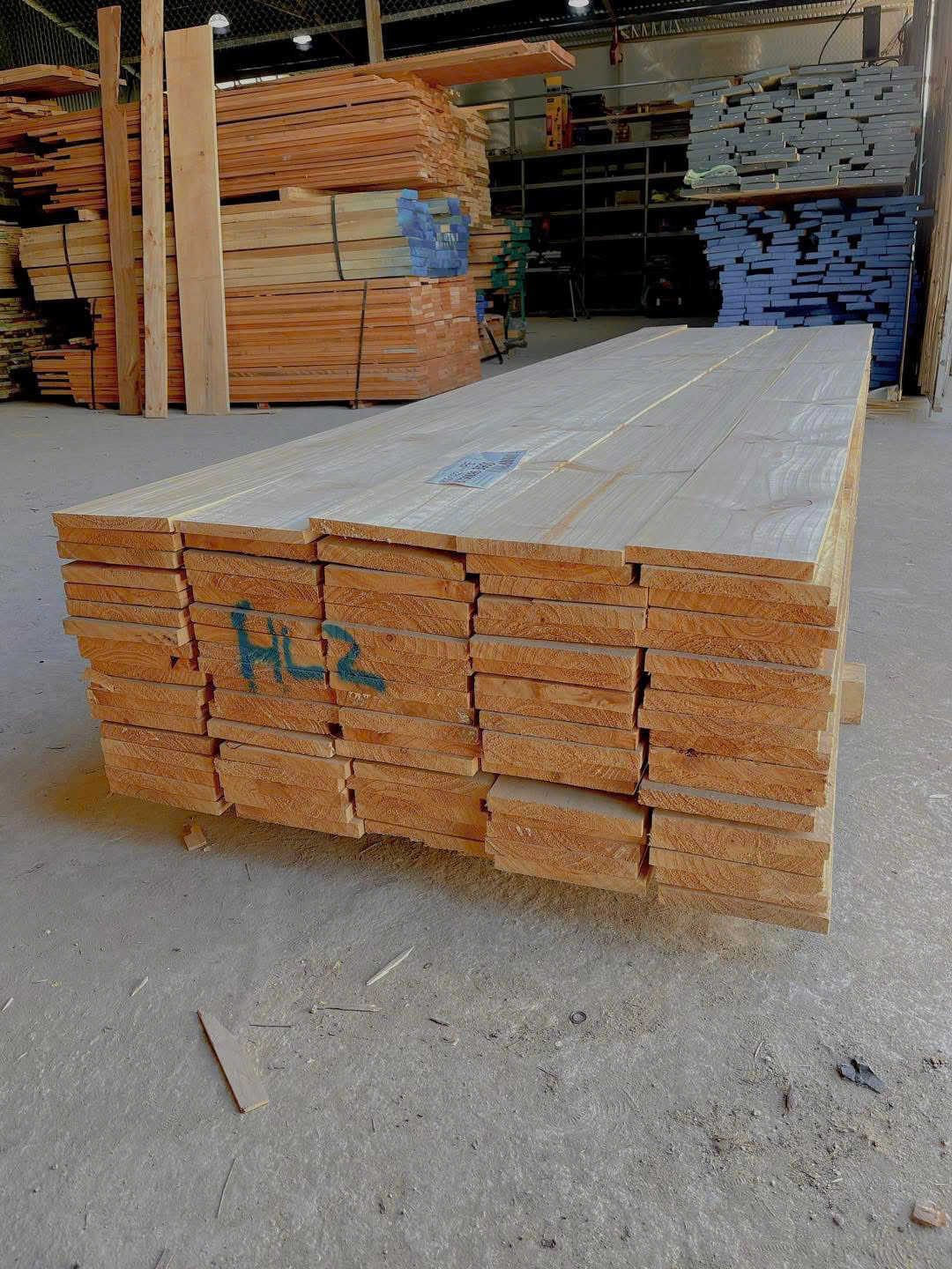 Gỗ Thông New Zealand - 2.2 x 20 x 390 CM - Ảnh 3