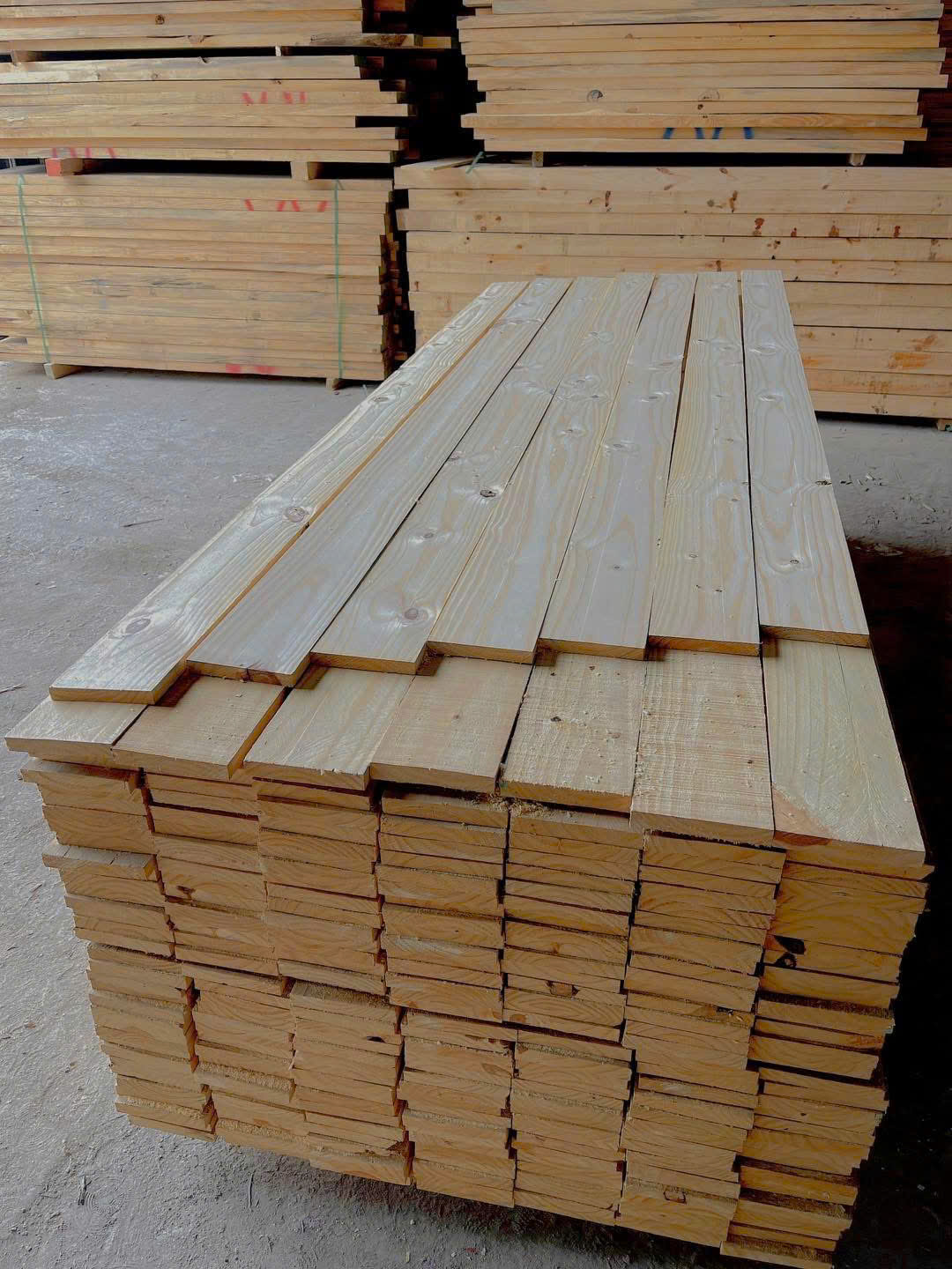 Gỗ Thông Uruguay - 2.2 x 15 x 305 CM - Ảnh 3